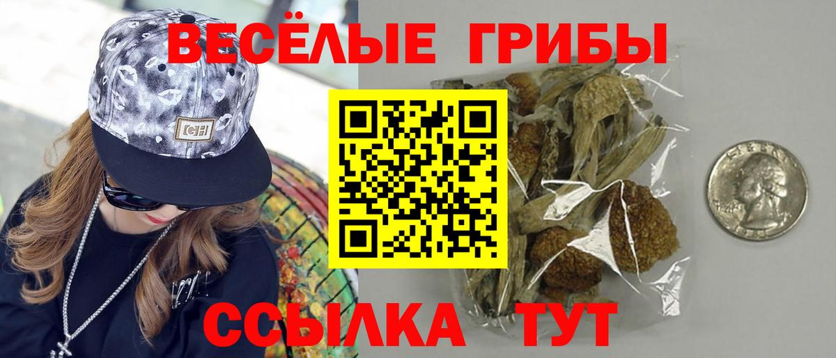 Псилоцибиновые грибы Cubensis Спасск-Дальний