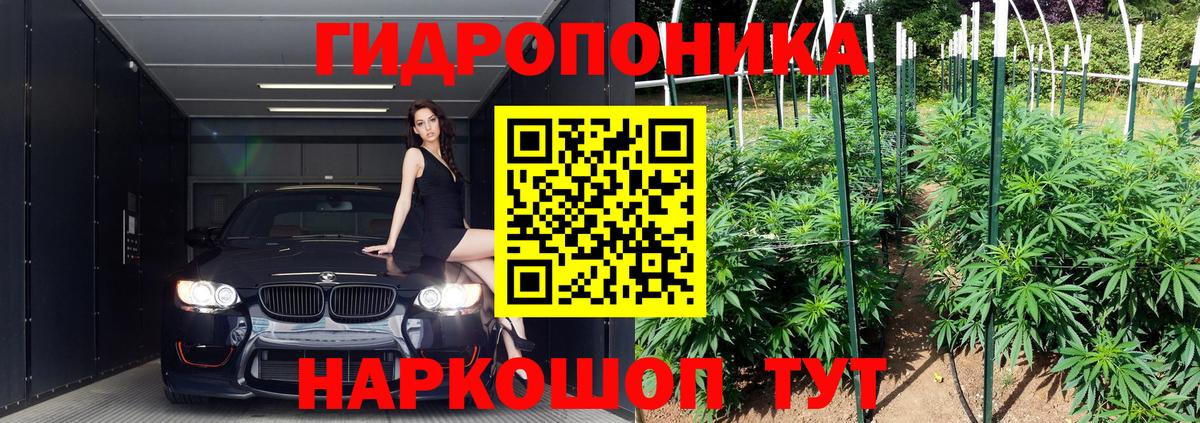 Бошки марихуана THC 21% Спасск-Дальний